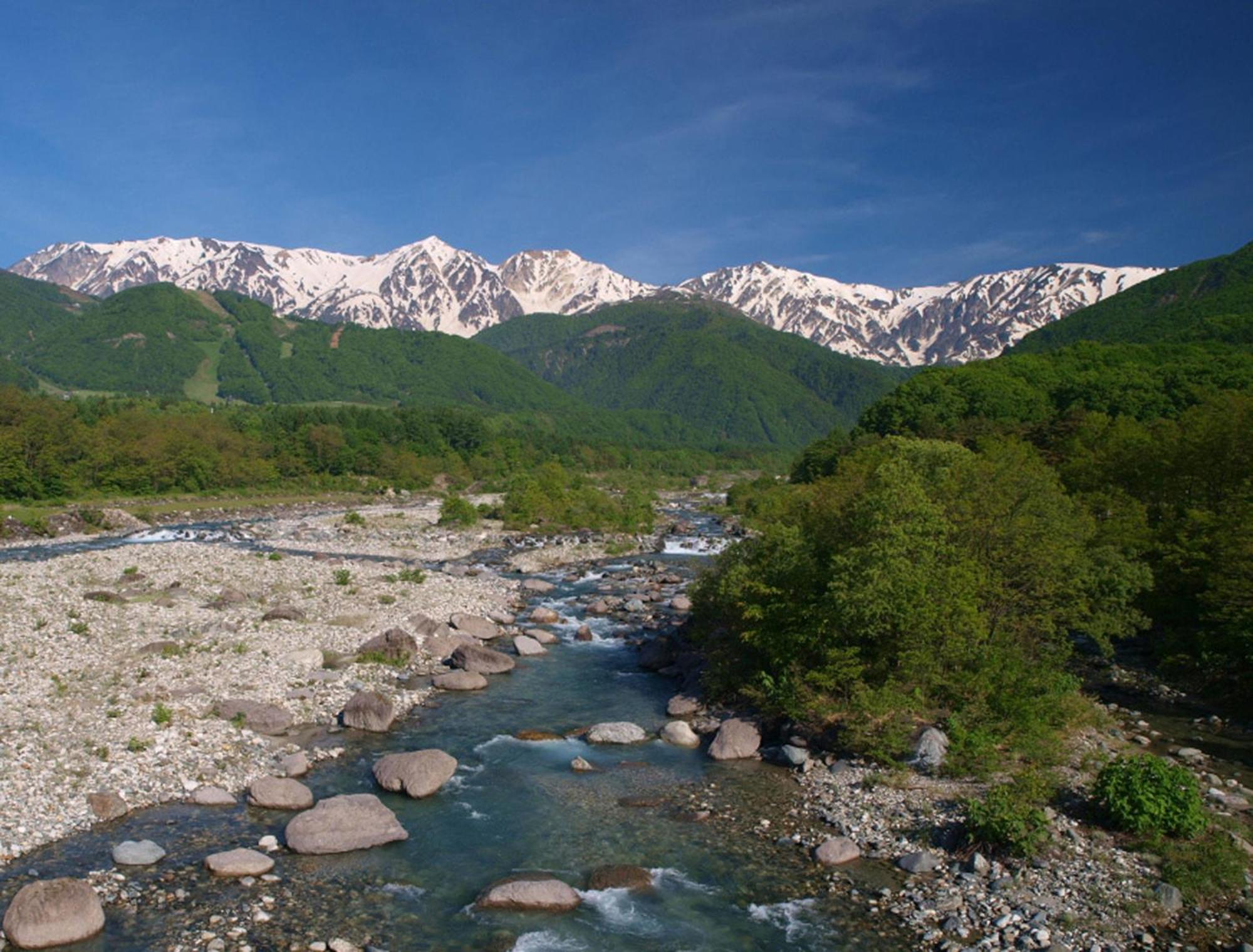 Hakuba Mominoki Hotel Zewnętrze zdjęcie