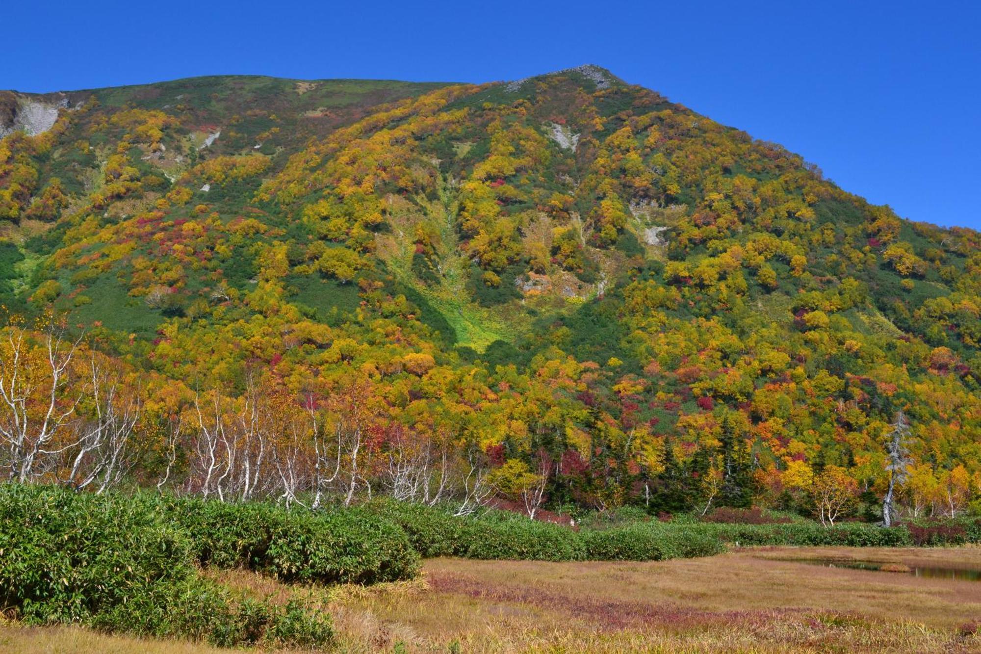 Hakuba Mominoki Hotel Zewnętrze zdjęcie